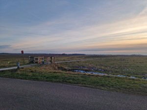 
                            <b>Fiets- en wandelpad met hekken en uitgestrekt veld op de achtergrond in het natuurgebied 't Roegwold</b><br>
                                                        <b>ISO:</b> 50 | <b>Sluitertijd:</b> 1/244 | <b>Diafragma:</b> f/1.8 | <b>Datum:</b> 2025-02-19

                        