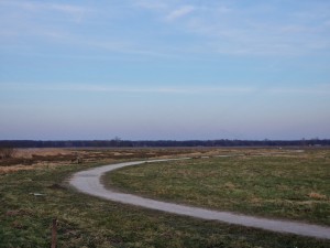 
                            <b>Kronkelend fiets- en wandelpad door uitgestrekte velden in natuurgebied 't Roegwold</b><br>
                                                        <b>ISO:</b> 50 | <b>Sluitertijd:</b> 1/297 | <b>Diafragma:</b> f/2.4 | <b>Datum:</b> 2025-02-19

                        