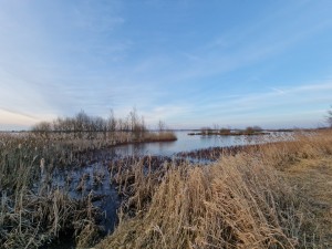 
                            <b>Uitgestrekt moerasgebied met riet en bomen, weergegeven in kalme wateren van het 't Roegwold</b><br>
                                                        <b>ISO:</b> 50 | <b>Sluitertijd:</b> 1/149 | <b>Diafragma:</b> f/2.2 | <b>Datum:</b> 2025-02-19

                        