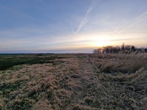 
                            <b>Uitgestrekt grasland met een pad erdoor en opkomende zon.</b><br>
                                                        <b>ISO:</b> 50 | <b>Sluitertijd:</b> 1/492 | <b>Diafragma:</b> f/2.2 | <b>Datum:</b> 2025-02-19

                        