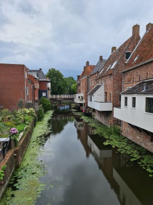 
                            <b>Historische huizen met Hangende keukens langs een schilderachtige gracht met planten.</b><br>
                                                        <b>ISO:</b> 50 | <b>Sluitertijd:</b> 1/364 | <b>Diafragma:</b> f/1.8 | <b>Datum:</b> 2023-08-05

                        