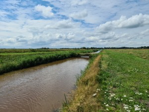 
                            <b>Een sloot tussen grasvelden met enkele wolken in de lucht.</b><br>
                                                        <b>ISO:</b> 50 | <b>Sluitertijd:</b> 1/1740 | <b>Diafragma:</b> f/1.8 | <b>Datum:</b> 2023-08-06

                        