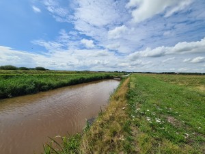 
                            <b>Een sloot door groen landschap onder een blauwe lucht met wolken.</b><br>
                                                        <b>ISO:</b> 64 | <b>Sluitertijd:</b> 1/3280 | <b>Diafragma:</b> f/2.2 | <b>Datum:</b> 2023-08-06

                        