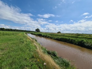 
                            <b>Een sloot door een grasrijke omgeving met bloemen.</b><br>
                                                        <b>ISO:</b> 64 | <b>Sluitertijd:</b> 1/3104 | <b>Diafragma:</b> f/2.2 | <b>Datum:</b> 2023-08-06

                        