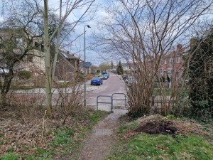 
                            <b>Verhard pad eindigt bij hekje, leidt naar azaleastraat met geparkeerde auto's.</b><br>
                                                        <b>ISO:</b> 50 | <b>Sluitertijd:</b> 1/1225 | <b>Diafragma:</b> f/1.8 | <b>Datum:</b> 2025-03-13

                        