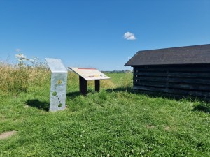 
                            <b>Metalen informatiebord naast houten gebouwtje in grasrijke omgeving.</b><br>
                                                        <b>ISO:</b> 50 | <b>Sluitertijd:</b> 1/11905 | <b>Diafragma:</b> f/1.8 | <b>Datum:</b> 2024-07-28

                        