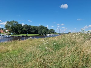 
                            <b>Boten aangemeerd langs het Reitdiep met gras en bloemen op de oever.</b><br>
                                                        <b>ISO:</b> 50 | <b>Sluitertijd:</b> 1/12821 | <b>Diafragma:</b> f/1.8 | <b>Datum:</b> 2024-07-28

                        