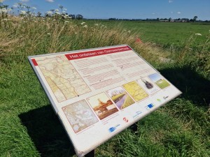 
                            <b>Informatiebord over de geschiedenis en ontwikkeling van Garmerwolde zichtbaar.</b><br>
                                                        <b>ISO:</b> 50 | <b>Sluitertijd:</b> 1/18519 | <b>Diafragma:</b> f/1.8 | <b>Datum:</b> 2024-07-28

                        