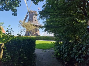 
                            <b>Oude windmolen met wieken, omringd door groen en blauwe lucht erboven.</b><br>
                                                        <b>ISO:</b> 50 | <b>Sluitertijd:</b> 1/296 | <b>Diafragma:</b> f/1.8 | <b>Datum:</b> 2024-07-28

                        