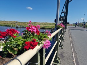 
                            <b>Bloemen versieren brug met fietsers op de achtergrond boven het Reitdiep.</b><br>
                                                        <b>ISO:</b> 50 | <b>Sluitertijd:</b> 1/13333 | <b>Diafragma:</b> f/1.8 | <b>Datum:</b> 2024-07-28

                        