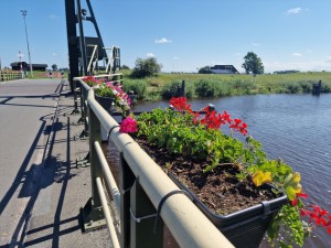 
                            <b>Bloembakken vol kleurrijke bloemen sieren een brug boven het Reitdiep.</b><br>
                                                        <b>ISO:</b> 50 | <b>Sluitertijd:</b> 1/10870 | <b>Diafragma:</b> f/1.8 | <b>Datum:</b> 2024-07-28

                        