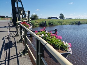 
                            <b>Bloemenbakken hangen aan brugleuning boven het Reitdiep, landelijke achtergrond zichtbaar.</b><br>
                                                        <b>ISO:</b> 50 | <b>Sluitertijd:</b> 1/11494 | <b>Diafragma:</b> f/1.8 | <b>Datum:</b> 2024-07-28

                        