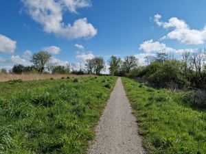 
                            <b>Smal grindpad tussen groene velden met bomen op de achtergrond.</b><br>
                                                        <b>ISO:</b> 50 | <b>Sluitertijd:</b> 1/18519 | <b>Diafragma:</b> f/1.8 | <b>Datum:</b> 2024-04-21

                        