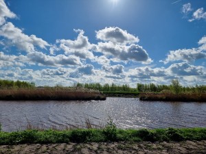 
                            <b>Rustige rivier met grasbegroeide oevers onder een halfbewolkte lucht.</b><br>
                                                        <b>ISO:</b> 50 | <b>Sluitertijd:</b> 1/3424 | <b>Diafragma:</b> f/1.8 | <b>Datum:</b> 2024-04-07

                        