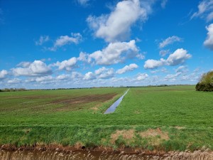 
                            <b>Uitgestrekt polderlandschap met groene velden en een smalle sloot.</b><br>
                                                        <b>ISO:</b> 50 | <b>Sluitertijd:</b> 1/1312 | <b>Diafragma:</b> f/1.8 | <b>Datum:</b> 2024-04-07

                        