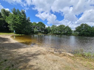 
                            <b>Zwaneveldsgat met zandstrand en omringende bomen onder een zonnige hemel.</b><br>
                                                        <b>ISO:</b> 64 | <b>Sluitertijd:</b> 1/1620 | <b>Diafragma:</b> f/2.2 | <b>Datum:</b> 2023-07-04

                        