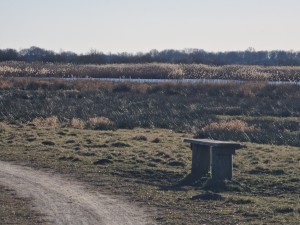 
                            <b>Houten bankje langs een pad met uitzicht over een rietveld in natuuromgeving 't Roegwold.</b><br>
                                                        <b>ISO:</b> 50 | <b>Sluitertijd:</b> 1/853 | <b>Diafragma:</b> f/4.9 | <b>Datum:</b> 2025-03-18

                        