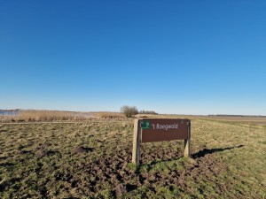 
                            <b>Bord met opschrift 't Roegwold op grasveld met waterrijke achtergrond.</b><br>
                                                        <b>ISO:</b> 50 | <b>Sluitertijd:</b> 1/10870 | <b>Diafragma:</b> f/1.8 | <b>Datum:</b> 2025-03-18

                        