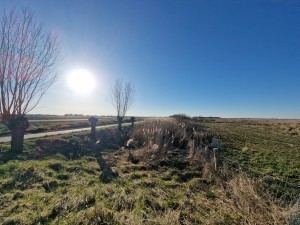 
                            <b>Knotwilgen langs natuuromgeving 't Roegwold met rietpluimen, zonnige blauwe lucht.</b><br>
                                                        <b>ISO:</b> 50 | <b>Sluitertijd:</b> 1/3968 | <b>Diafragma:</b> f/2.2 | <b>Datum:</b> 2025-03-18

                        