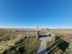 
                            <b>Toegangspoort met hek richting natuuromgeving 't Roegwold.</b><br>
                                                        <b>ISO:</b> 50 | <b>Sluitertijd:</b> 1/1883 | <b>Diafragma:</b> f/2.2 | <b>Datum:</b> 2025-03-18

                        