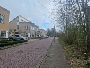 
                            <b>Rij woningen langs de Korierstraat met geparkeerde auto's en voetpad.</b><br>
                                                        <b>ISO:</b> 50 | <b>Sluitertijd:</b> 1/3546 | <b>Diafragma:</b> f/1.8 | <b>Datum:</b> 2025-03-23

                        