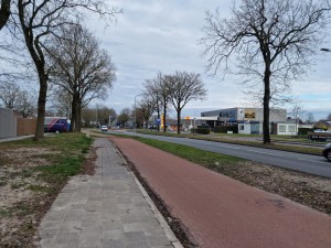 
                            <b>Fiets- en voetpad naast de Nieuweweg met bomen en gebouwen.</b><br>
                                                        <b>ISO:</b> 50 | <b>Sluitertijd:</b> 1/4065 | <b>Diafragma:</b> f/1.8 | <b>Datum:</b> 2025-03-23

                        