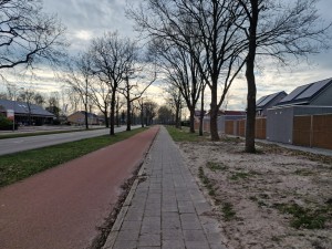 
                            <b>Lang fietspad en Nieuweweg en stoep met bomenrij in rustige buurt.</b><br>
                                                        <b>ISO:</b> 50 | <b>Sluitertijd:</b> 1/820 | <b>Diafragma:</b> f/1.8 | <b>Datum:</b> 2025-03-23

                        