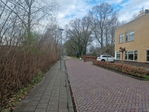 
                            <b>Korierstraat met voetpad, lantaarnpalen, gebouwen en geparkeerde auto. Geen mensen zichtbaar.</b><br>
                                                        <b>ISO:</b> 50 | <b>Sluitertijd:</b> 1/2392 | <b>Diafragma:</b> f/1.8 | <b>Datum:</b> 2025-03-23

                        
