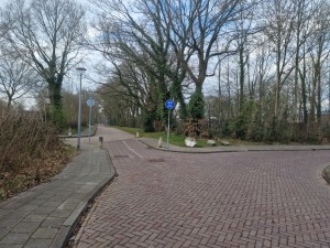 
                            <b>Fietspad en voetpad langs een rustige, met bomen omzoomde Korierstraat.</b><br>
                                                        <b>ISO:</b> 50 | <b>Sluitertijd:</b> 1/1770 | <b>Diafragma:</b> f/1.8 | <b>Datum:</b> 2025-03-23

                        