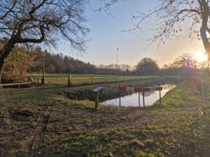 
                            <b>Houten loopbrug over smalle sloot met informatiebord ernaast.</b><br>
                                                        <b>ISO:</b> 50 | <b>Sluitertijd:</b> 1/774 | <b>Diafragma:</b> f/1.8 | <b>Datum:</b> 2025-03-07

                        