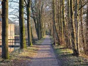 
                            <b>Smal pad tussen hoge bomen, leidt naar de verte langs een kanaal.</b><br>
                                                        <b>ISO:</b> 50 | <b>Sluitertijd:</b> 1/181 | <b>Diafragma:</b> f/2.4 | <b>Datum:</b> 2025-03-07

                        