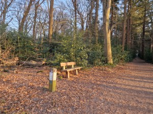 
                            <b>Bankje langs bospad met paaltje en herfstbladeren op de grond.</b><br>
                                                        <b>ISO:</b> 64 | <b>Sluitertijd:</b> 1/180 | <b>Diafragma:</b> f/1.8 | <b>Datum:</b> 2025-03-07

                        