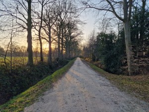 
                            <b>Lang, recht zandpad omgeven door kale bomen en groene struiken.</b><br>
                                                        <b>ISO:</b> 50 | <b>Sluitertijd:</b> 1/304 | <b>Diafragma:</b> f/1.8 | <b>Datum:</b> 2025-03-07

                        