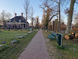 
                            <b>Pad met bankjes langs bloemen en villa op de achtergrond.</b><br>
                                                        <b>ISO:</b> 50 | <b>Sluitertijd:</b> 1/1437 | <b>Diafragma:</b> f/1.8 | <b>Datum:</b> 2025-03-07

                        