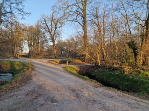 
                            <b>Onverharde weg kruising omringd door kale bomen.</b><br>
                                                        <b>ISO:</b> 50 | <b>Sluitertijd:</b> 1/180 | <b>Diafragma:</b> f/1.8 | <b>Datum:</b> 2025-03-07

                        