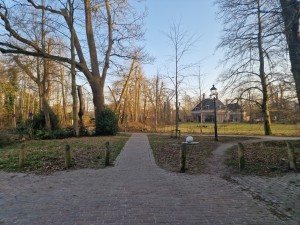 
                            <b>Pad leidt naar gebouw met toren tussen kale bomen.</b><br>
                                                        <b>ISO:</b> 50 | <b>Sluitertijd:</b> 1/1859 | <b>Diafragma:</b> f/1.8 | <b>Datum:</b> 2025-03-07

                        