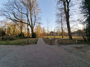 
                            <b>Pad door bos naar kasteelachtig gebouw met torens in verte.</b><br>
                                                        <b>ISO:</b> 50 | <b>Sluitertijd:</b> 1/386 | <b>Diafragma:</b> f/2.2 | <b>Datum:</b> 2025-03-07

                        