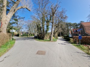 
                            <b>Tweedeling van wegen, bomen langs de paden, rustige woonwijk.</b><br>
                                                        <b>ISO:</b> 50 | <b>Sluitertijd:</b> 1/1585 | <b>Diafragma:</b> f/2.2 | <b>Datum:</b> 2025-03-30

                        