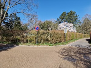 
                            <b>Verbodsbord bij houten hek met bloeiende boom op de achtergrond.</b><br>
                                                        <b>ISO:</b> 50 | <b>Sluitertijd:</b> 1/9009 | <b>Diafragma:</b> f/1.8 | <b>Datum:</b> 2025-03-30

                        