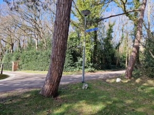 
                            <b>Verkeersbord op boomrijke kruising met buigende boomstam.</b><br>
                                                        <b>ISO:</b> 50 | <b>Sluitertijd:</b> 1/2577 | <b>Diafragma:</b> f/1.8 | <b>Datum:</b> 2025-03-30

                        