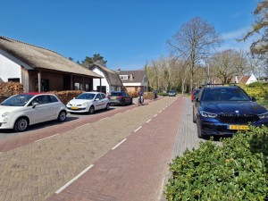 
                            <b>Straat met geparkeerde auto's en huizen aan beide zijden.</b><br>
                                                        <b>ISO:</b> 50 | <b>Sluitertijd:</b> 1/1096 | <b>Diafragma:</b> f/1.8 | <b>Datum:</b> 2025-03-30

                        