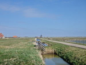 
                            <b>Windmolen in de verte naast platteland met waterkanaal en bruggetje.</b><br>
                                                        <b>ISO:</b> 50 | <b>Sluitertijd:</b> 1/3676 | <b>Diafragma:</b> f/2.4 | <b>Datum:</b> 2025-03-30

                        