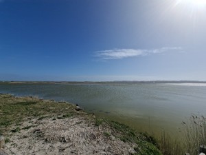 
                            <b>Rivier met grasachtige oevers en uitgestrekt water.</b><br>
                                                        <b>ISO:</b> 50 | <b>Sluitertijd:</b> 1/6329 | <b>Diafragma:</b> f/2.2 | <b>Datum:</b> 2025-03-30

                        