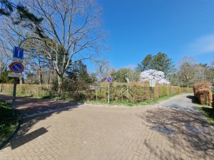 
                            <b>Verkeersborden bij kruising, omgeven door bomen en heggen.</b><br>
                                                        <b>ISO:</b> 50 | <b>Sluitertijd:</b> 1/1795 | <b>Diafragma:</b> f/2.2 | <b>Datum:</b> 2025-03-30

                        