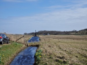 
                            <b>Polderlandschap met waterkanaal en molen in de verte.</b><br>
                                                        <b>ISO:</b> 50 | <b>Sluitertijd:</b> 1/3831 | <b>Diafragma:</b> f/2.4 | <b>Datum:</b> 2025-03-30

                        