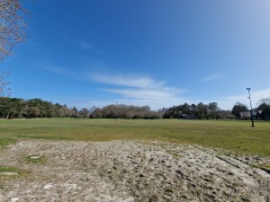 
                            <b>Groot grasveld met bomen, blauwe lucht en enkele lantaarnpalen.</b><br>
                                                        <b>ISO:</b> 50 | <b>Sluitertijd:</b> 1/3268 | <b>Diafragma:</b> f/2.2 | <b>Datum:</b> 2025-03-30

                        
