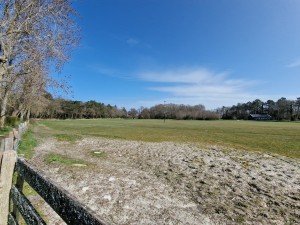 
                            <b>Uitgestrekt grasveld met enkele bomen en een hek op de voorgrond.</b><br>
                                                        <b>ISO:</b> 50 | <b>Sluitertijd:</b> 1/2933 | <b>Diafragma:</b> f/2.2 | <b>Datum:</b> 2025-03-30

                        