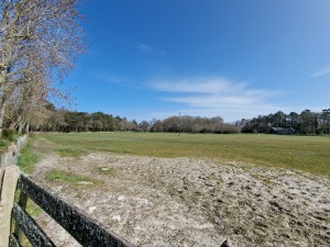 
                            <b>Uitgestrekt grasveld met bomenrand en houten hek op de voorgrond.</b><br>
                                                        <b>ISO:</b> 50 | <b>Sluitertijd:</b> 1/2933 | <b>Diafragma:</b> f/2.2 | <b>Datum:</b> 2025-03-30

                        