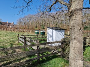 
                            <b>Houten hekken omringen bijenkasten in groen grasveld.</b><br>
                                                        <b>ISO:</b> 50 | <b>Sluitertijd:</b> 1/898 | <b>Diafragma:</b> f/1.8 | <b>Datum:</b> 2025-03-30

                        