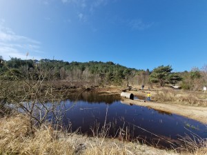 
                            <b>Kinderen spelen bij water en boomstammen in een natuurlijk gebied.</b><br>
                                                        <b>ISO:</b> 50 | <b>Sluitertijd:</b> 1/1724 | <b>Diafragma:</b> f/2.2 | <b>Datum:</b> 2025-03-30

                        